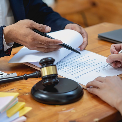 Internship Programme